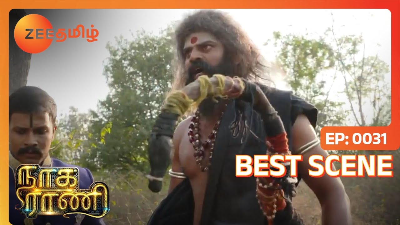 உணர்ந்த பாபா விரைந்த ருத்ரா | Naga Rani | Best Moments | Zee Tamil