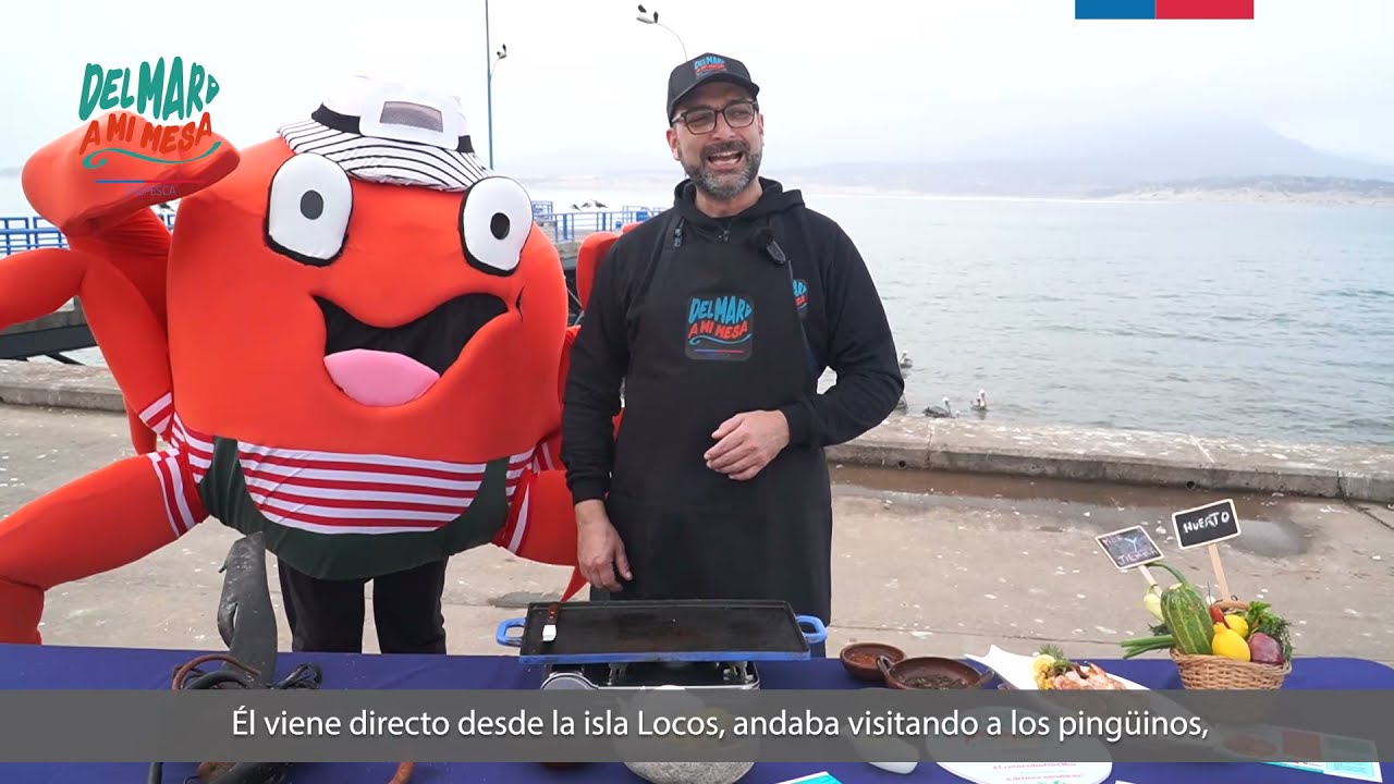 Nuestro chef Néstor Santillán cocina un congrio a la plancha con charquicán de cochayuyo.