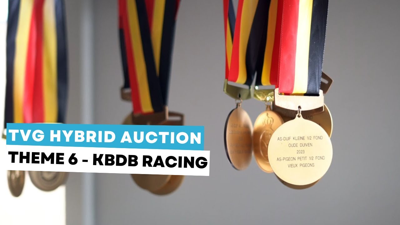 Гибридный аукцион Тома Ван Гавера: тема 6 - KBDB Racing
