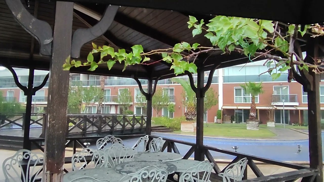 #asmrsounds#rainsounds #rainandthunder #viralvideo#relaxing#rain #calm #peacefulvibes#rainontheroof 