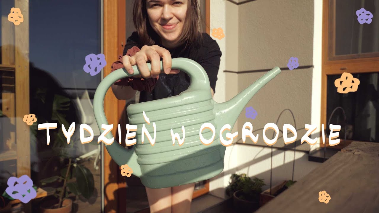 Tydzień na balkonowym ogrodzie | proste życie w mieście | Rejestruje