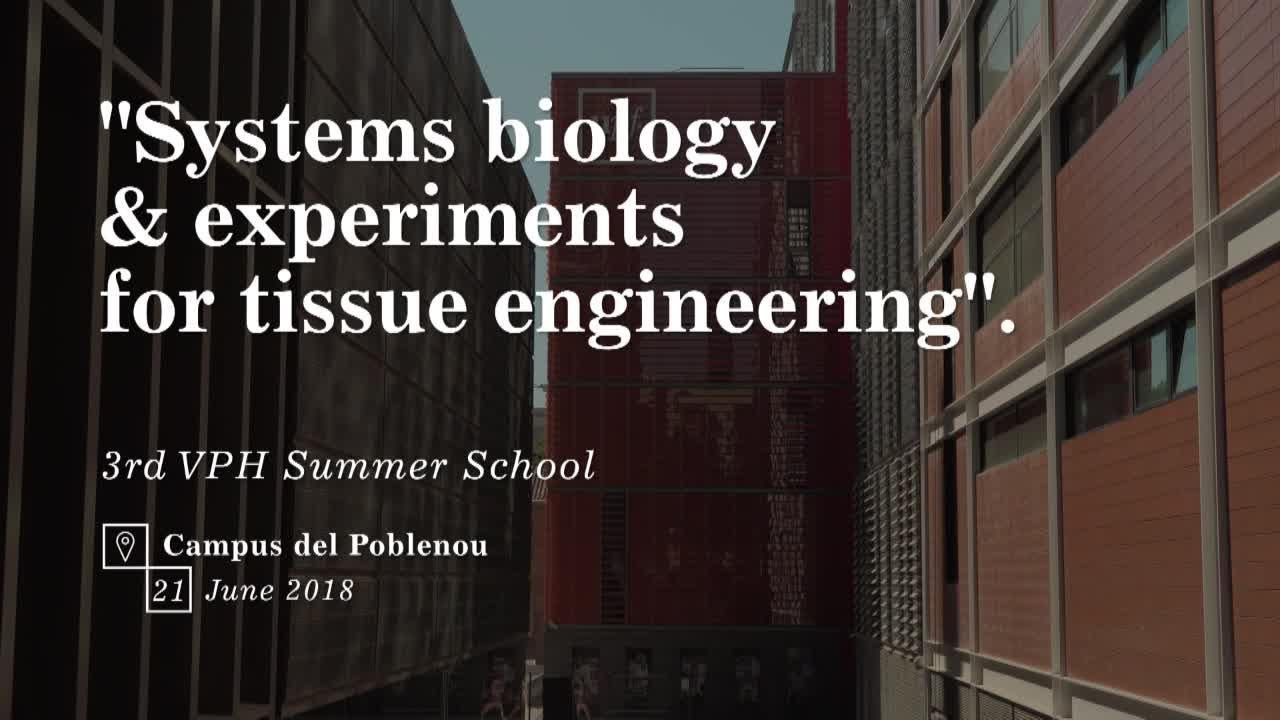 Systems biology and experiments for tissue engineering