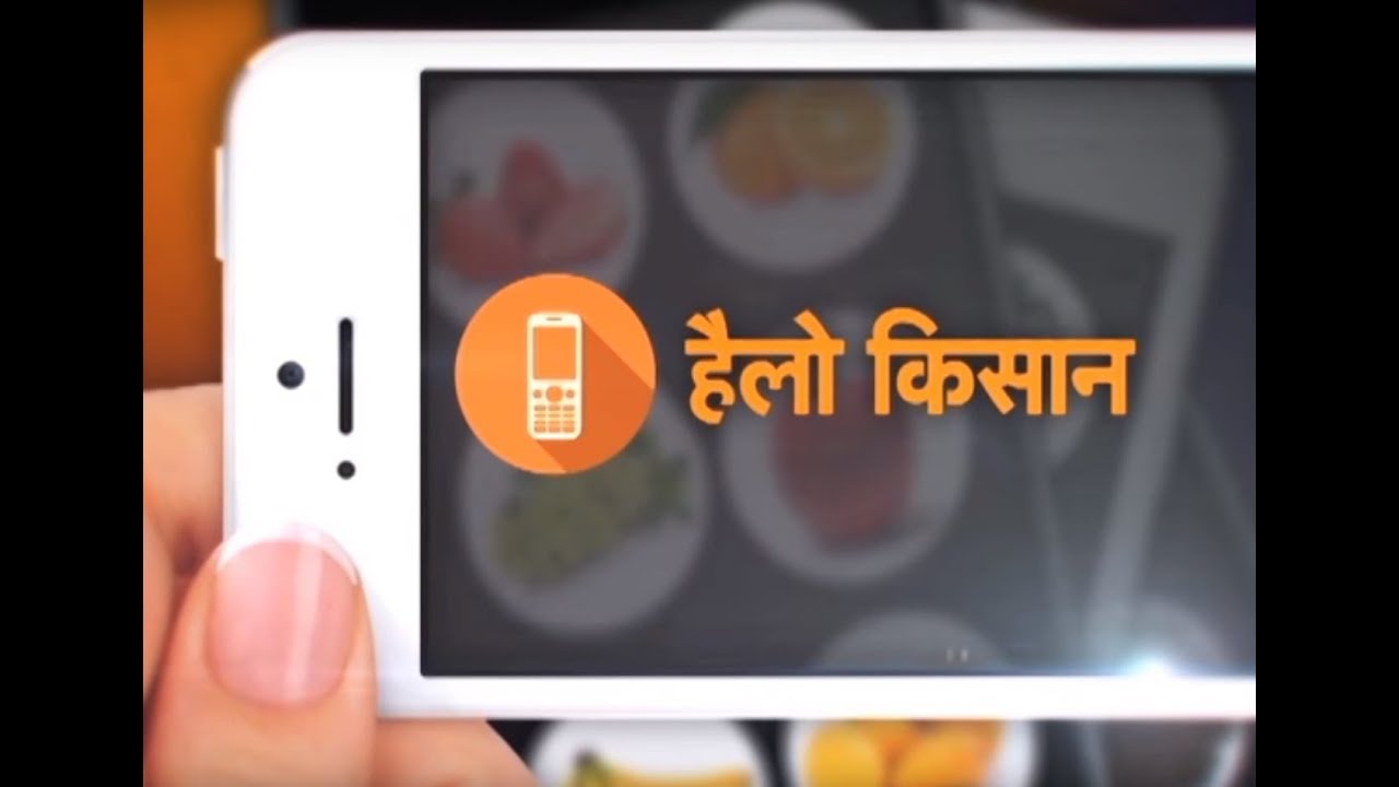 Hello Kisan - मध्य गेहूं फसल की बुवाई और तिलहनी फसलों की देखभाल