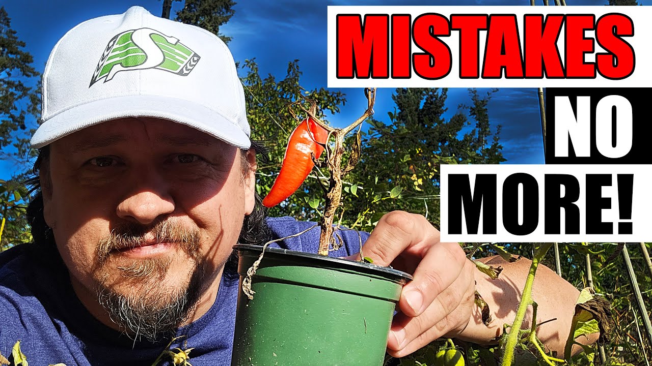 8 Common Gardening Mistakes To Avoid