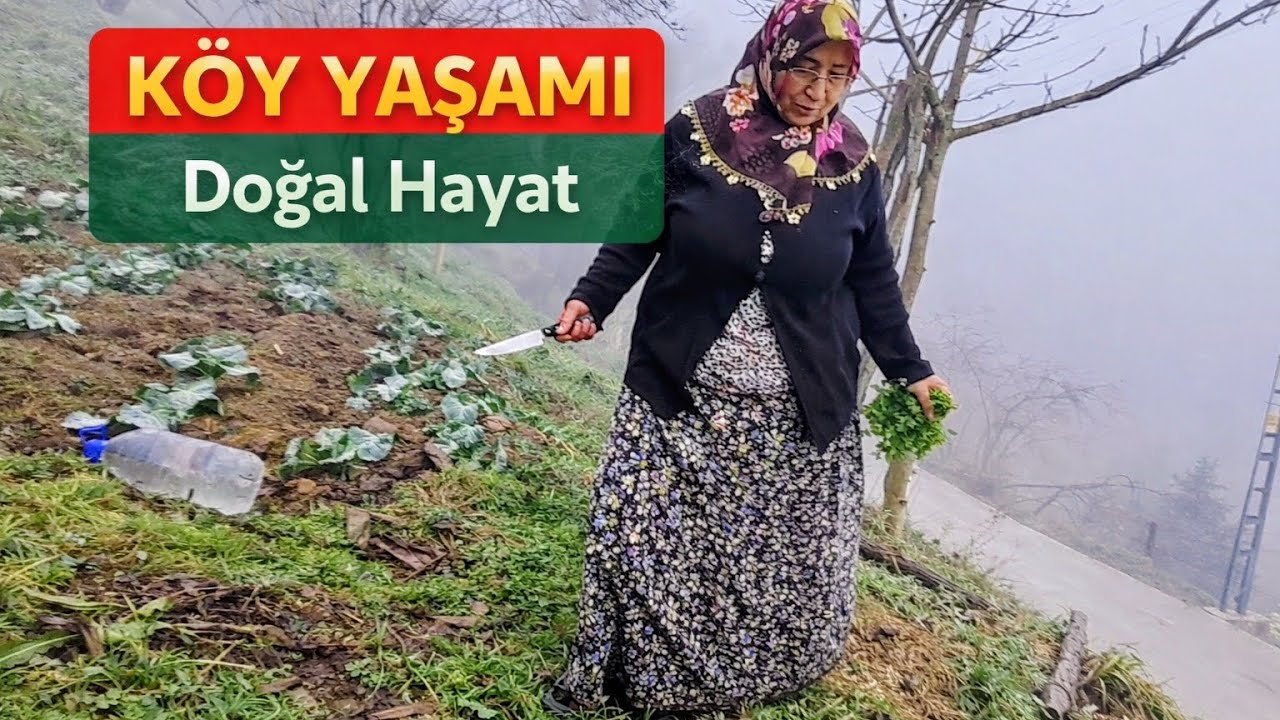 🌫️☀️ Şaşırtan Karadeniz Köy Havası | Sis, Duman ve Güneş Bir Arada