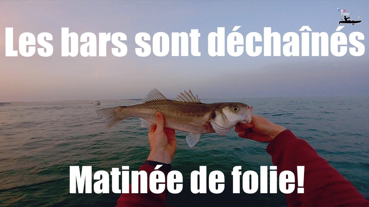 Les bars sont déchainés, matinée de folie!