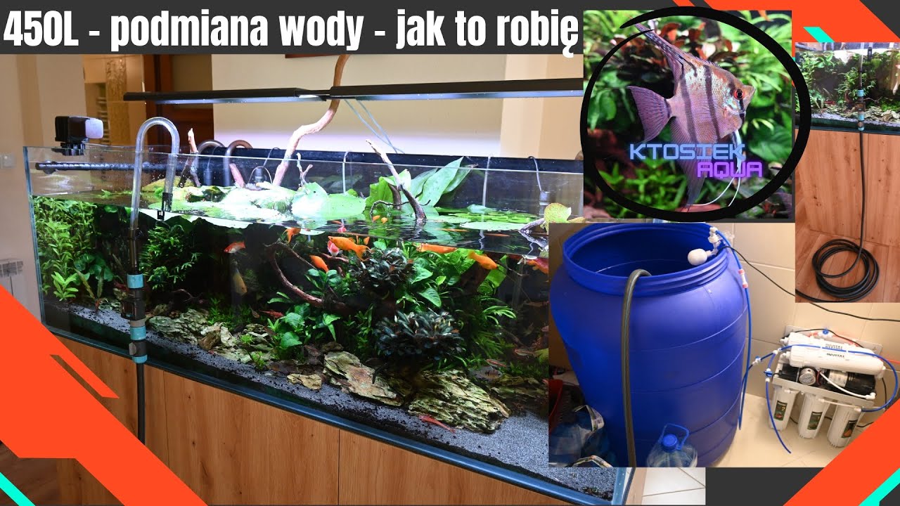[450L][Technika] Podmiana wody w dużym akwarium[4K][12.09.2025r]