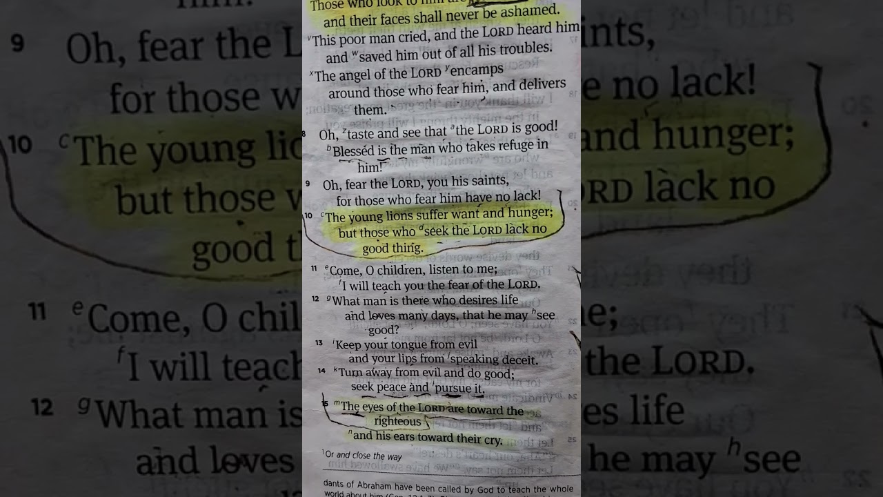 Bible is the truth..believe it