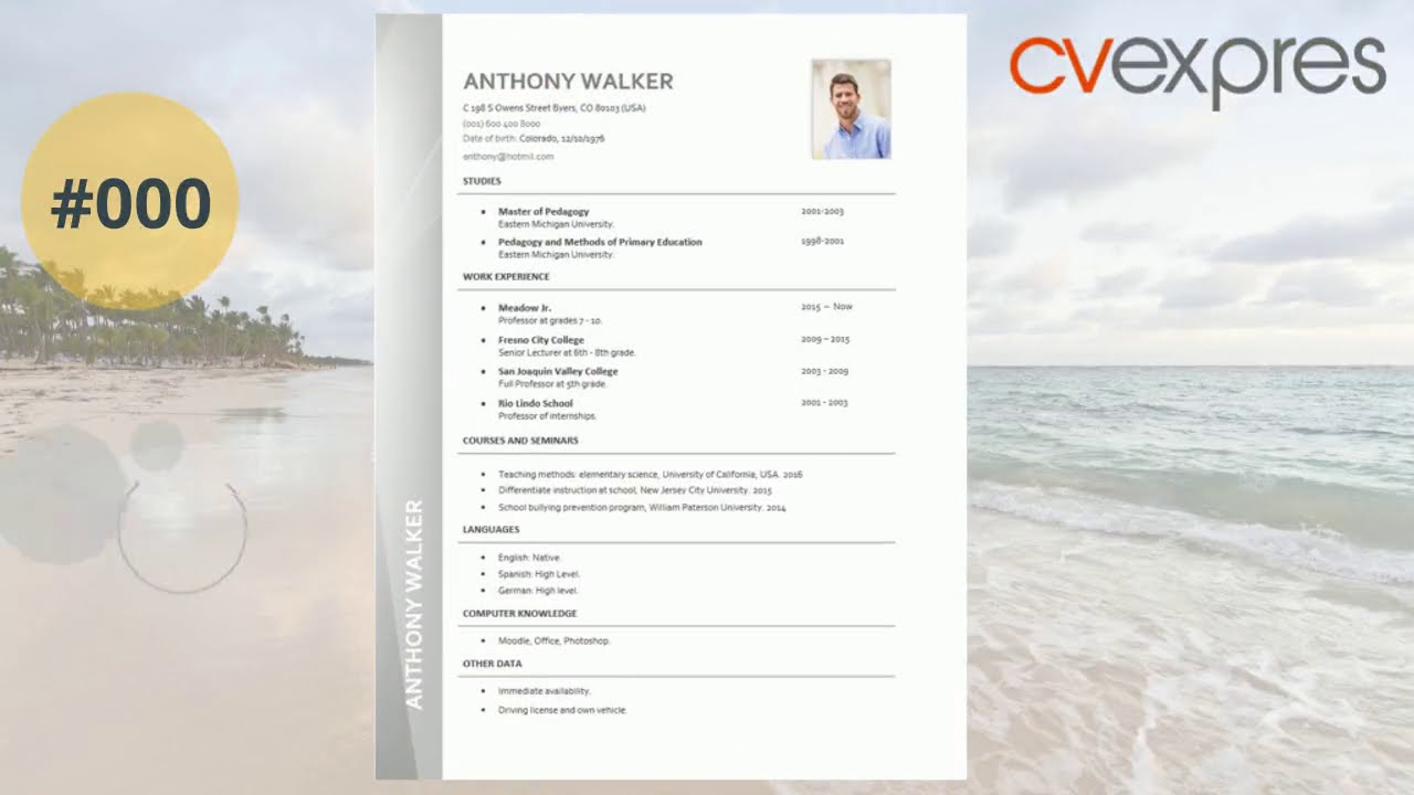 Teacher resume examples