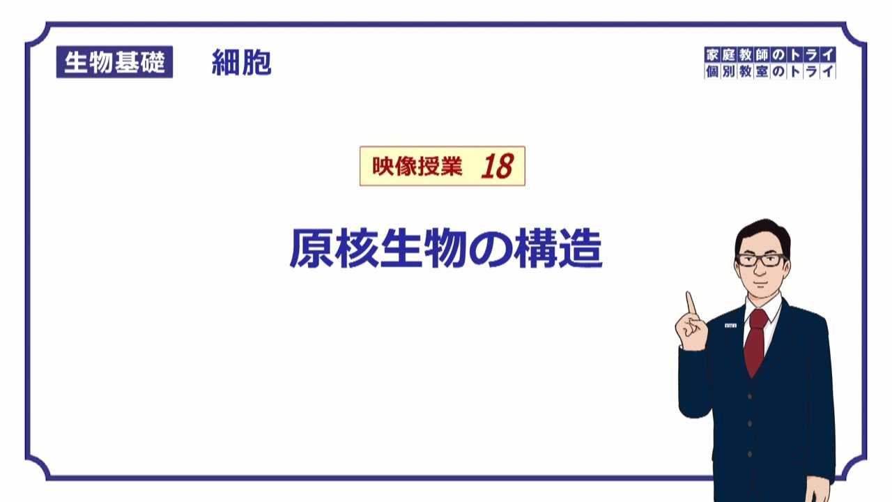 【生物基礎】　細胞18　原核生物の構造　（１０分）