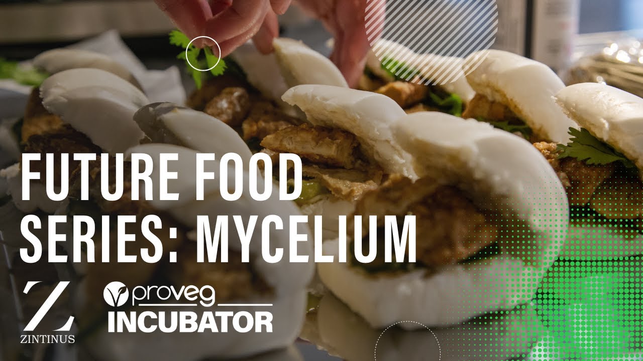 Future Food Series: MYCELIUM Presented by ProVeg Incubator & Zintinus