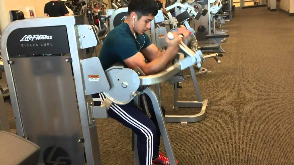 Bodybuilding progression 15 inch arms
