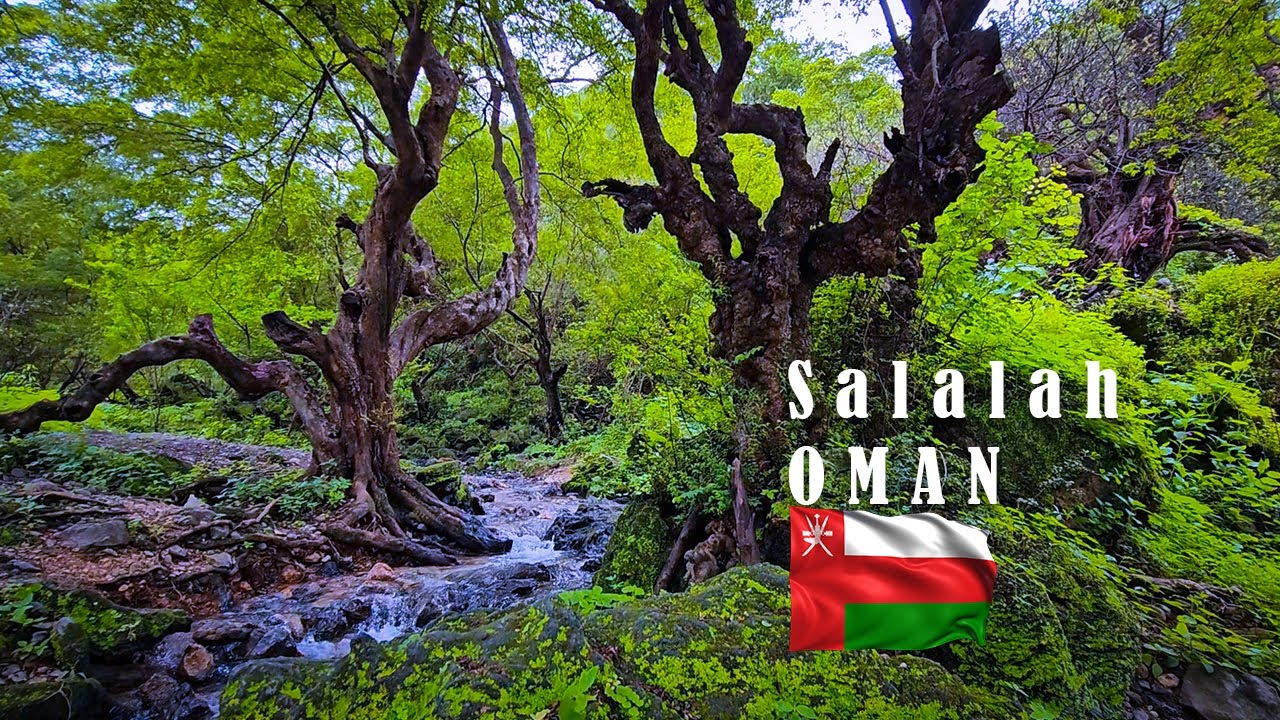 Salalah Oman Camping | Unforgettable Girl's Night | Magical Outdoor Experience | ASMR | Relaxing