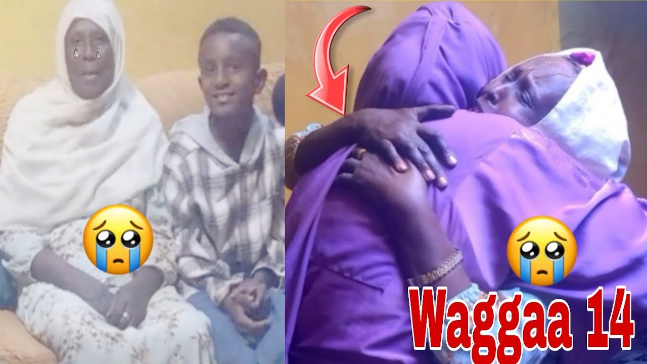 Hadhi Koo Fi Obbolletin Koo Waggaa 14 itti Waal Argani Bochan Biyyi Badee Alamdulillah Nagan Galee🚎