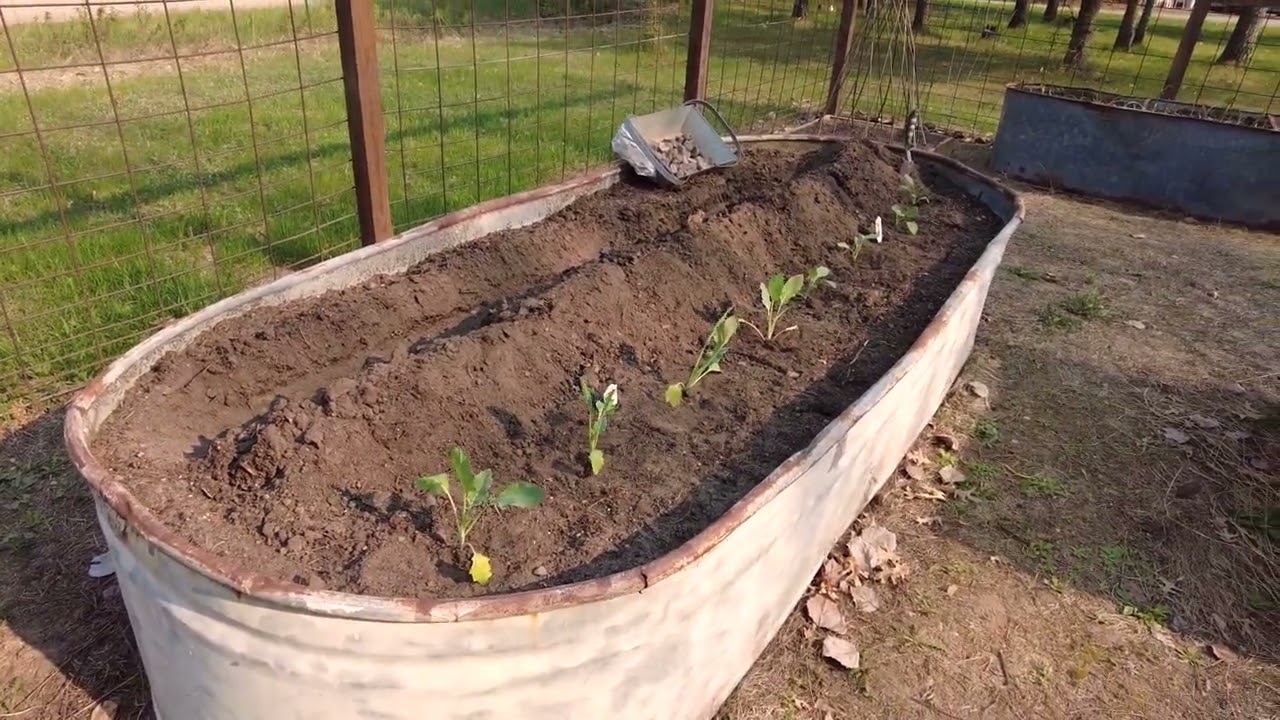 Welcome to the Garden