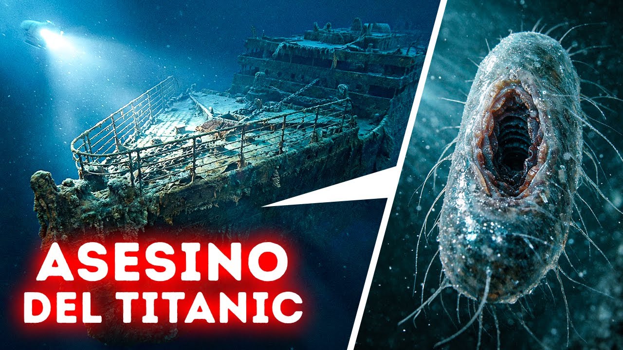 Por qué el Titanic se está desintegrando pero este barco antiguo no