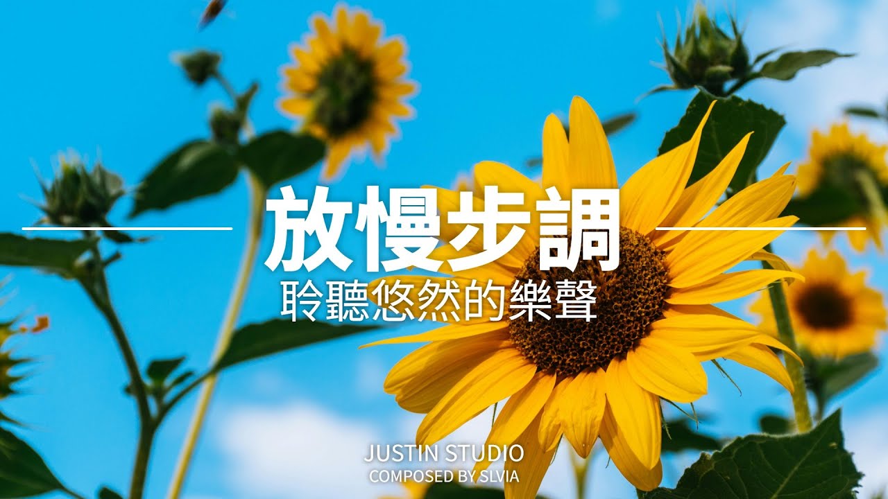【PEACEFUL PIANO BGM】放慢步調，聆聽悠然的樂聲
