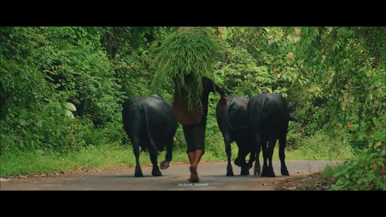 Cinematics of Rural Maharashtra