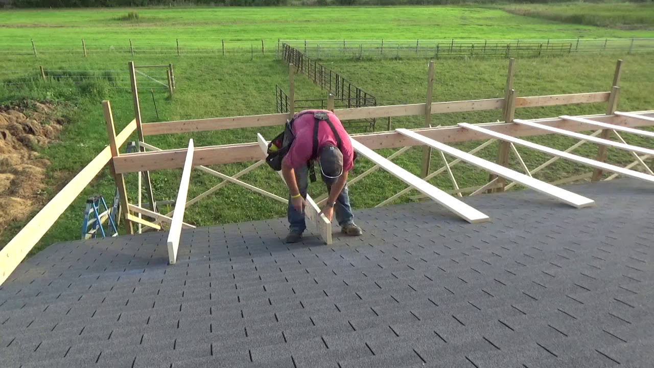 Lean To pt5/ Installing the rafters!