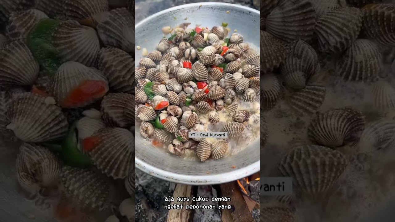 menikmati alam dan masak di hutan #cooking #masakdikebun #food #kegiatanmemasak #kuliner