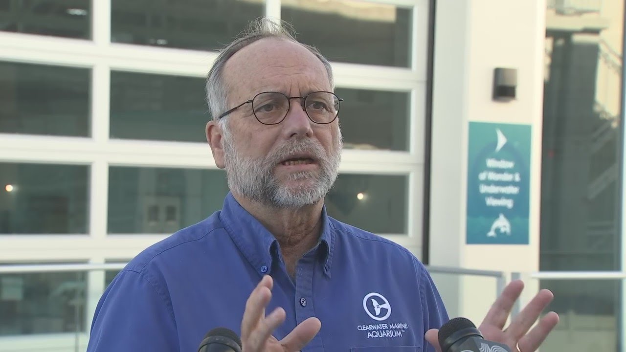 Update: Winter the Dolphin critical at Clearwater Marine Aquarium