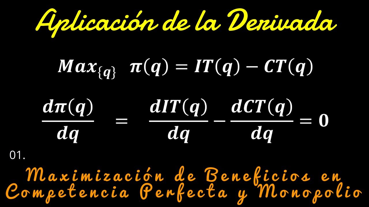 Maximización de beneficios - Competencia Perfecta y Monopolio