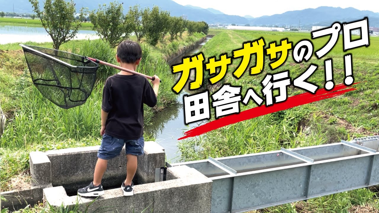 ガチプロが見つけた田舎の川でガサガサ！楽しすぎ