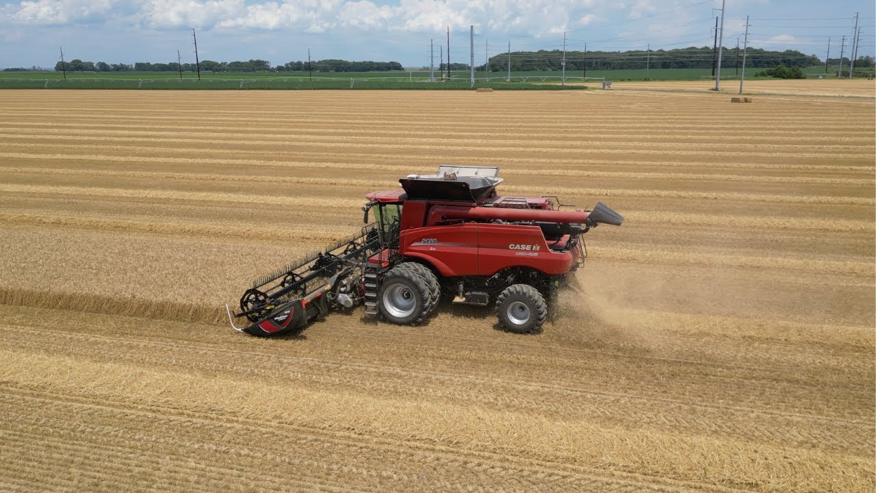 Wheat Harvest 2025 - Dover, Delaware