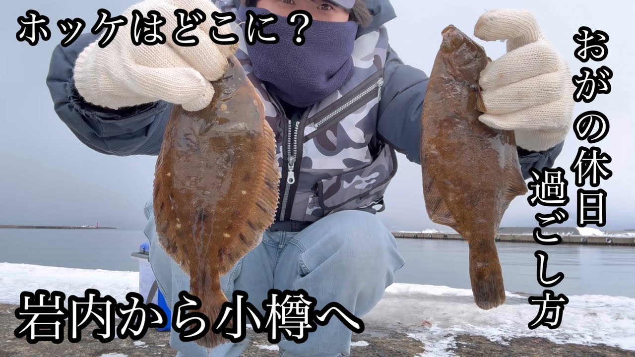 おがの休日過ごし方#165ホッケはどこへ？岩内から小樽へ