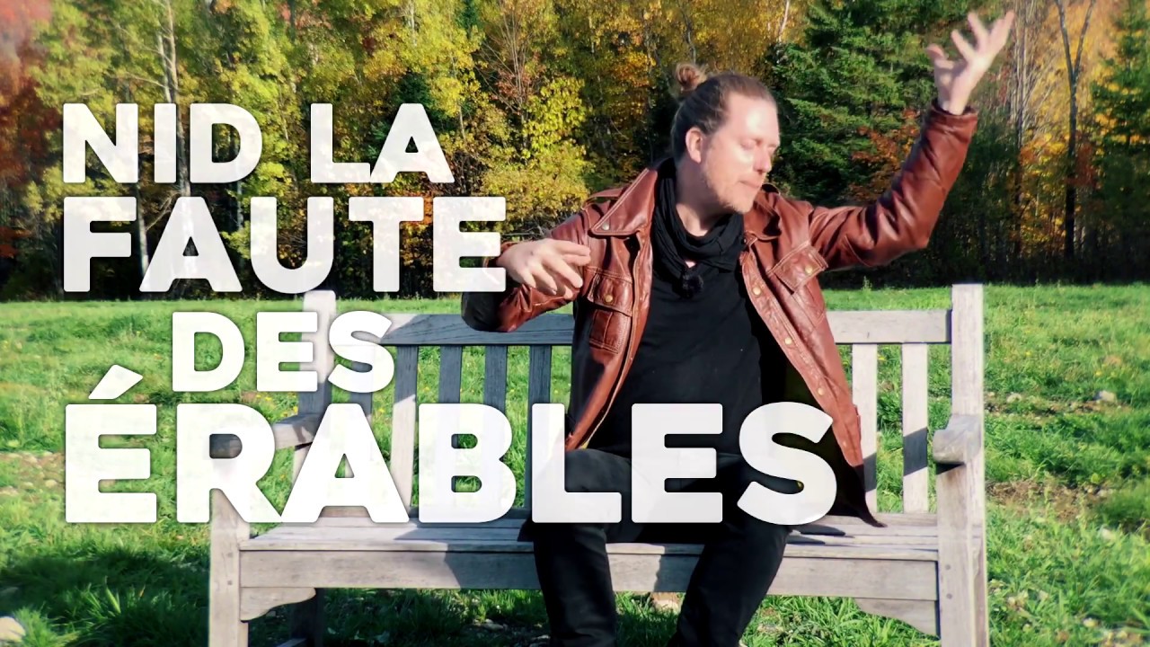 FORÊT - Mathieu Lippé (vidéo-poésie) wow