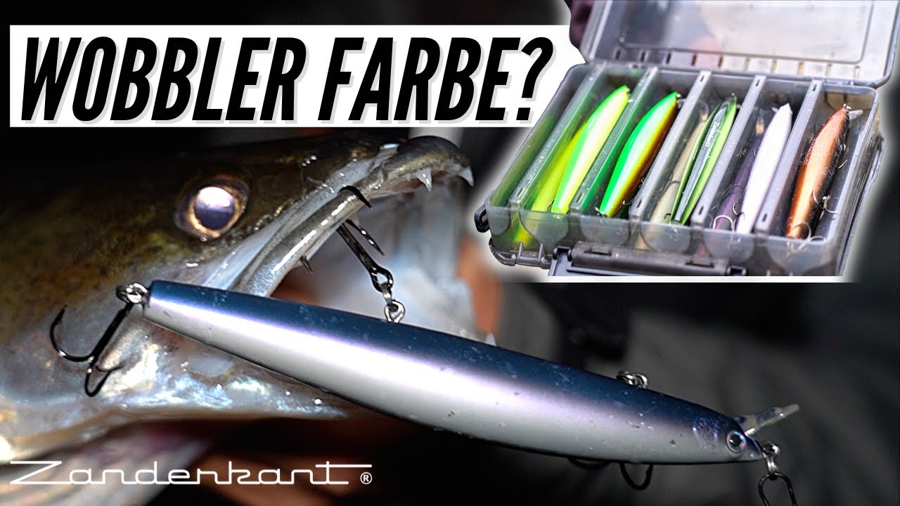 Nachtangeln mit Wobbler.  Welche Farbe fängt? : ZANDER