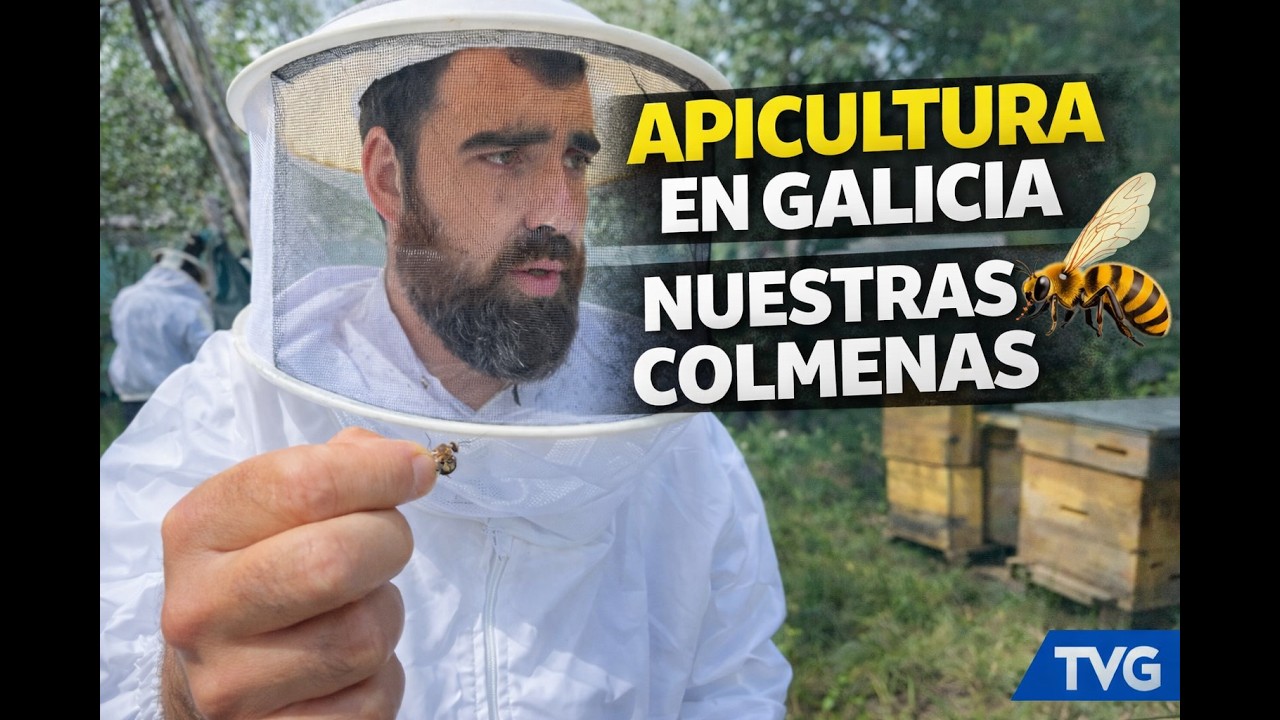 De Liñares Apicultura | Así producimos nuestra miel natural en Galicia