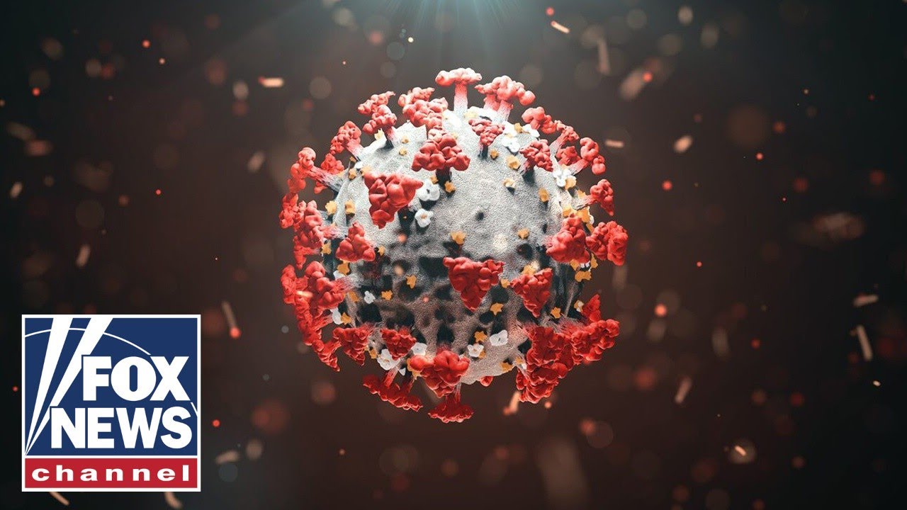 Bombshell report rewrites COVID outbreak timeline