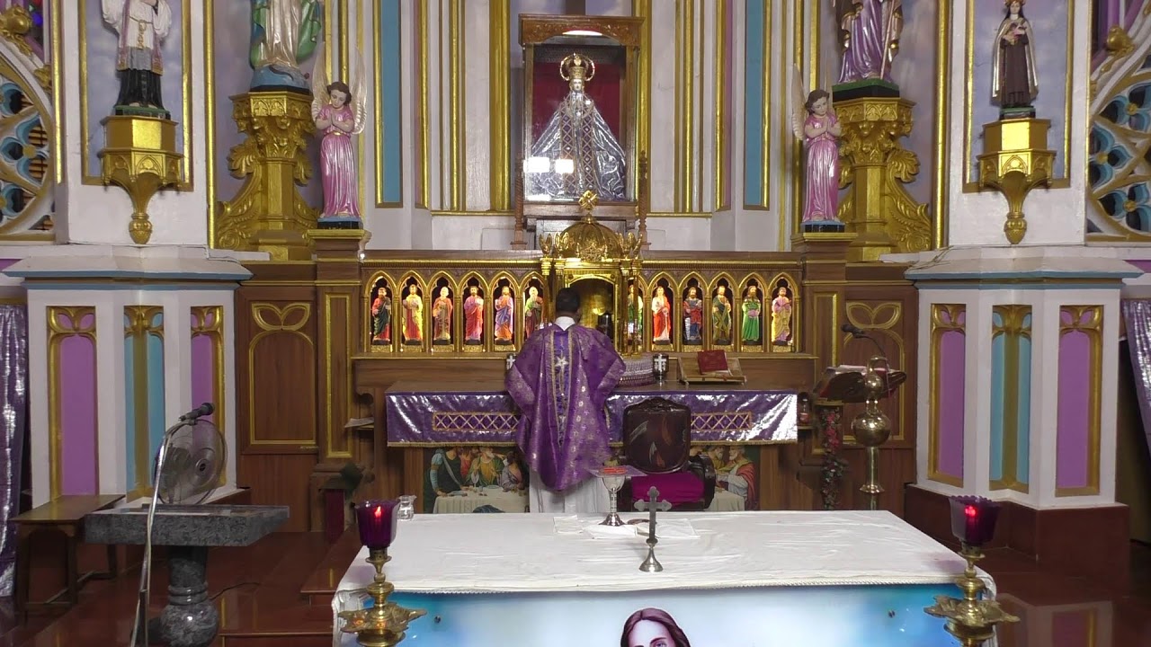 ༺♰༻ 🅛🅘🅥🅔 𝑽𝒂𝒅𝒂𝒗𝒂𝒊 𝑷𝒂𝒓𝒂𝒍𝒐𝒈𝒂 𝑴𝒂𝒕𝒉𝒂 - Daily Mass in Tamil -  2025 - திருப்பலி