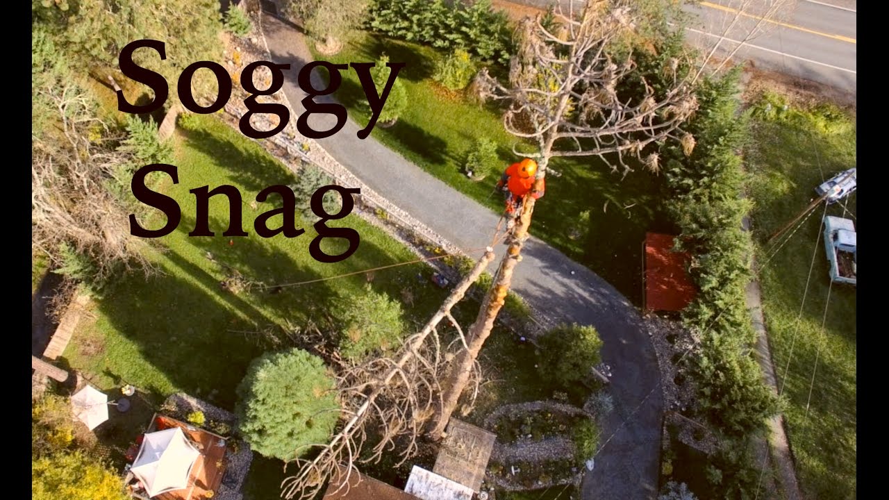 Soggy Snag