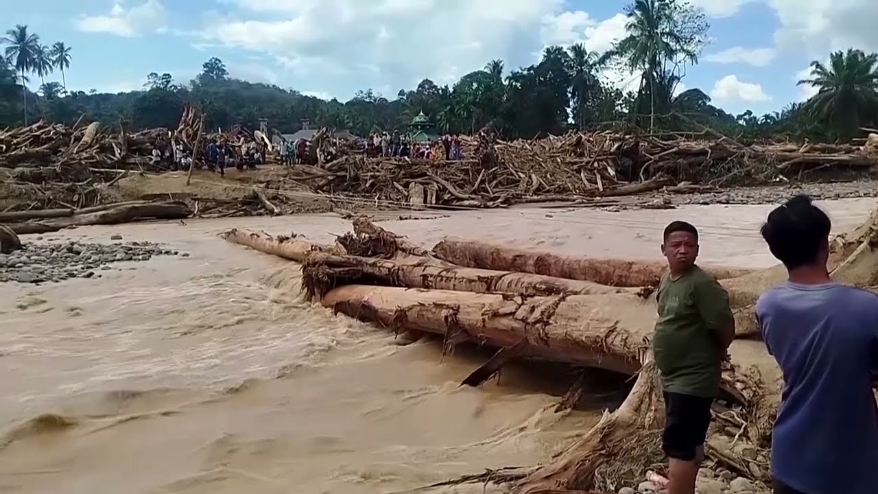Environmentalists: Indonesia floods worsened by deforestation | REUTERS
