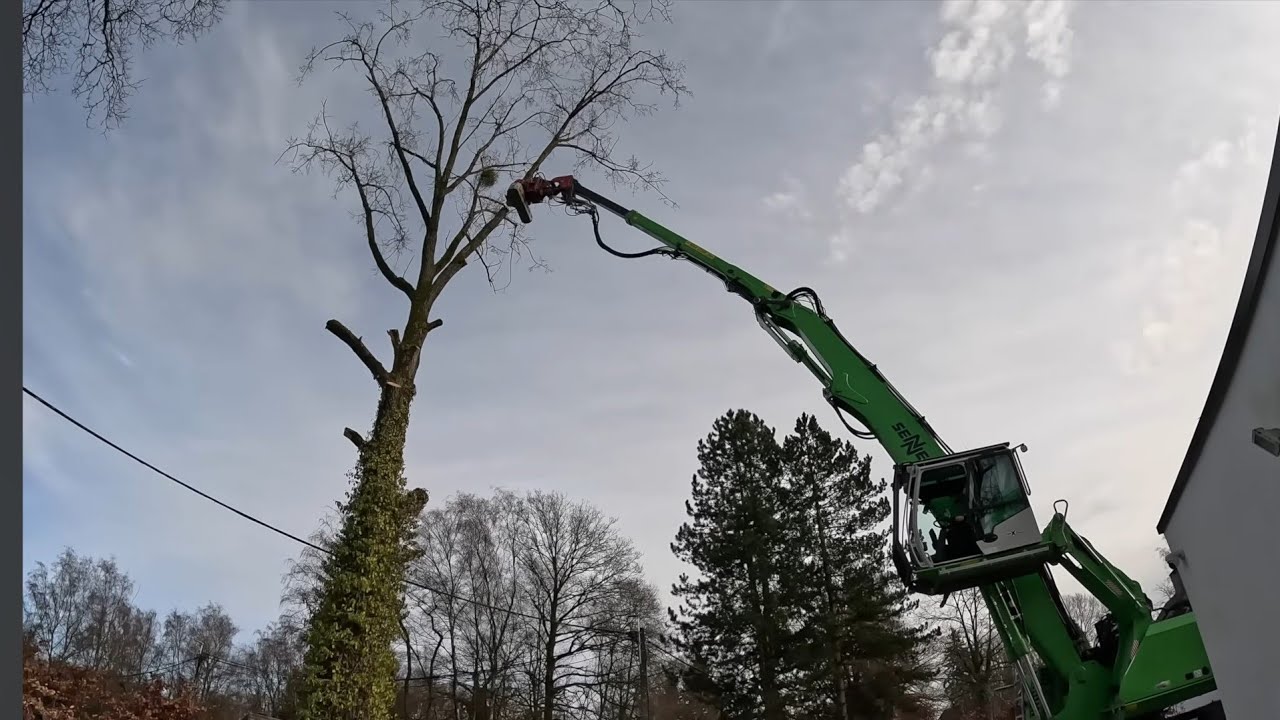 DÉMONTAGE D'UN GROS PEUPLIER À LA GRUE / STIHL 661 