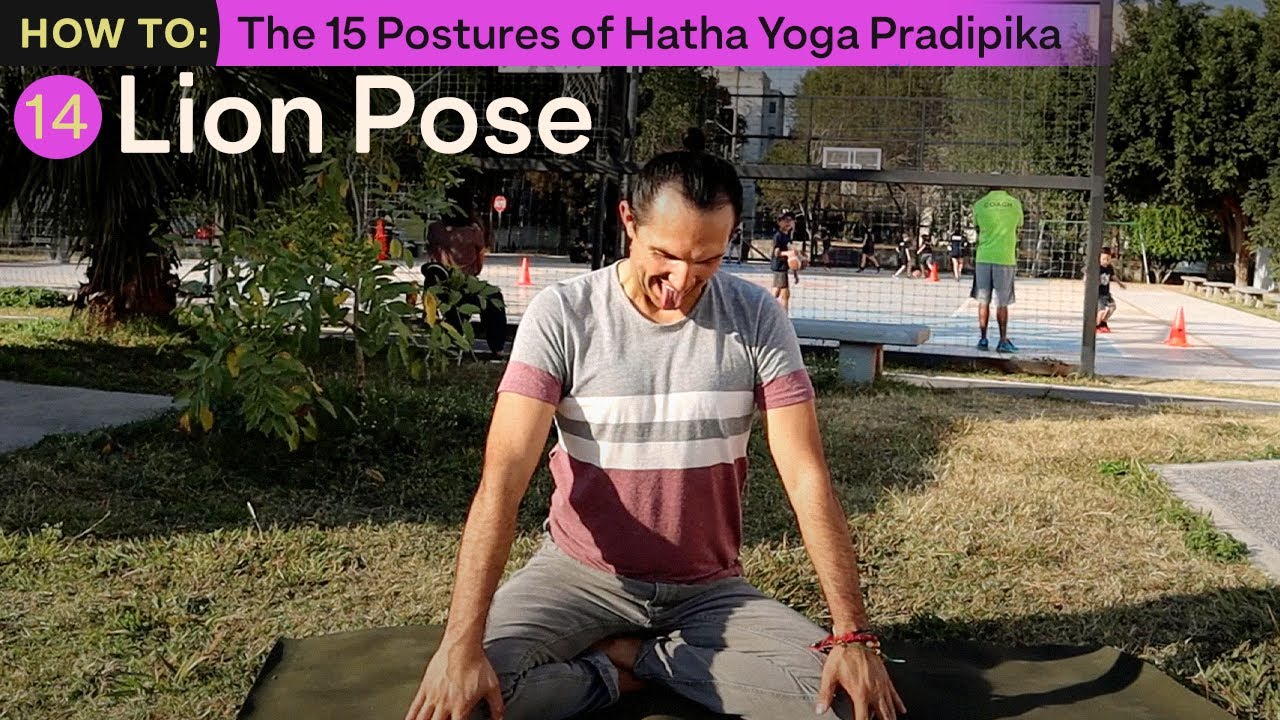 Hatha Yoga. Pose 14 SIMHASANA lion pose