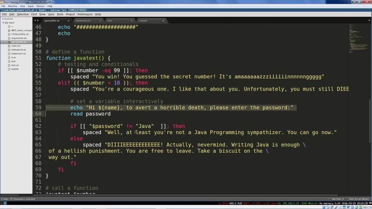 Bash Scripting 7: Functions and Course Review