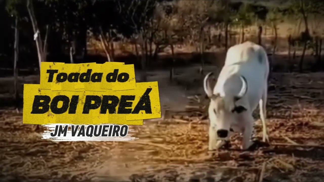 Toada Boi Preá 
