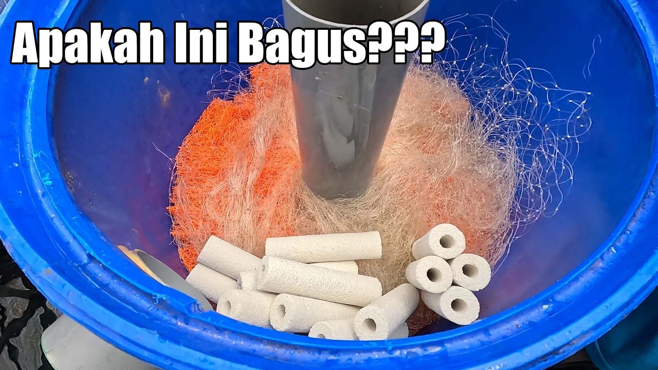 Rakit Kolam Untuk Keeping Ikan Koi Tidak Harus mahal