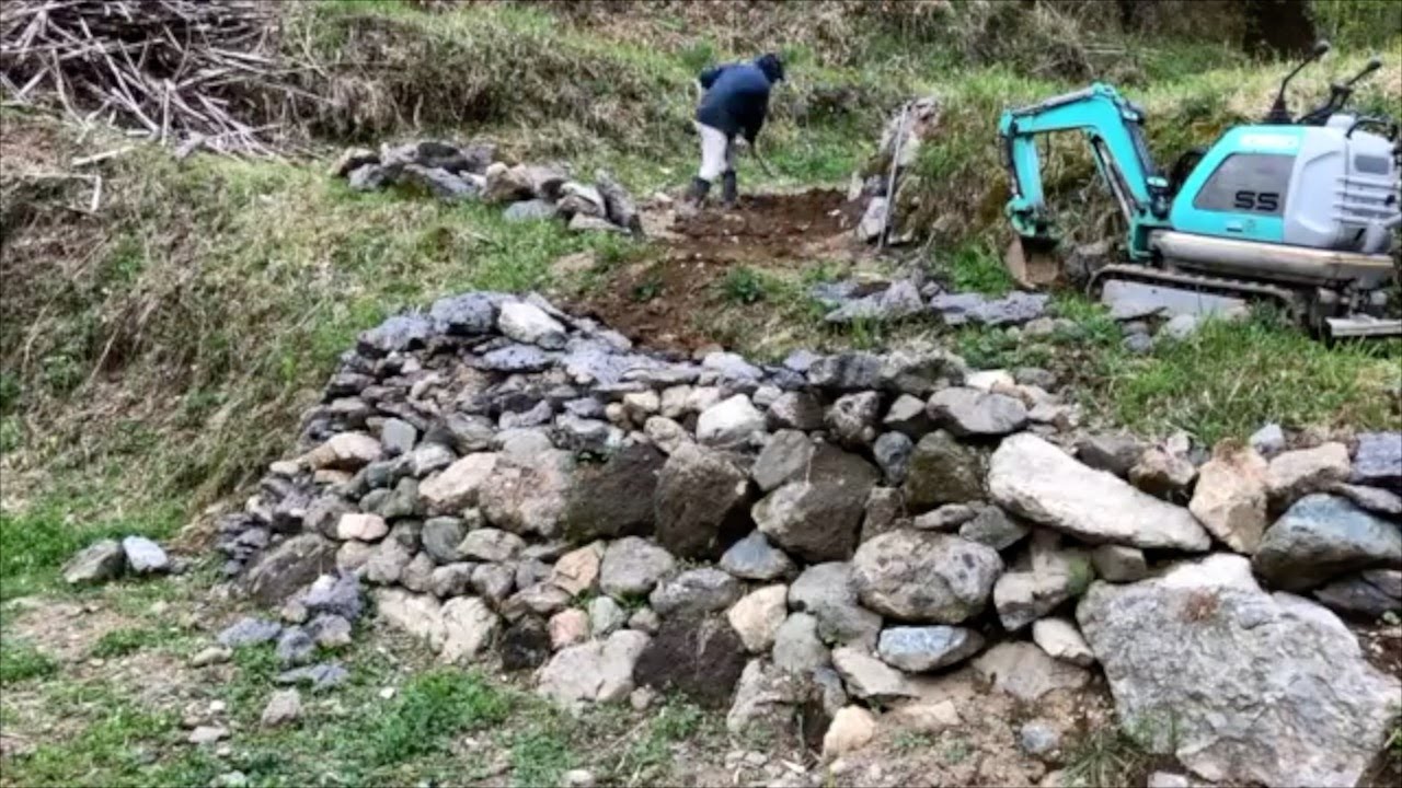 ［6年目］荒廃した山の再生2025まとめ