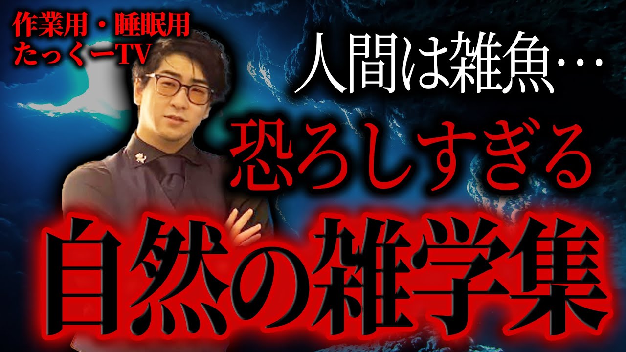 【作業用】人間なんてちっぽけな存在…自然の恐ろしさまとめ【たっくーTV/切り抜き】