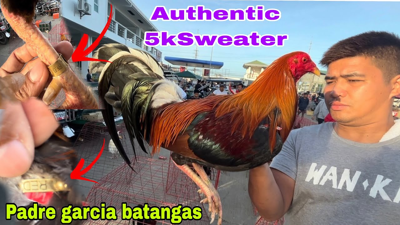 February 17 2026 in Padre garcia batangas