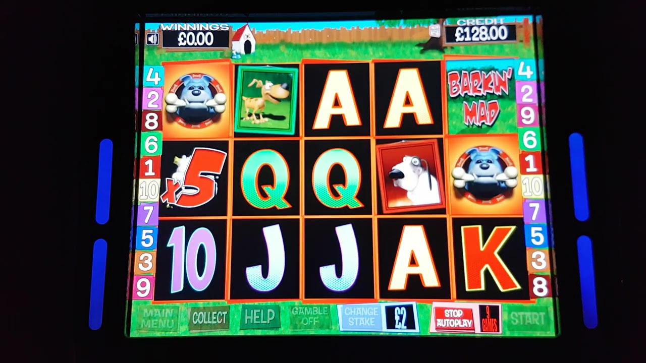 £500 Jackpot Barking Mad