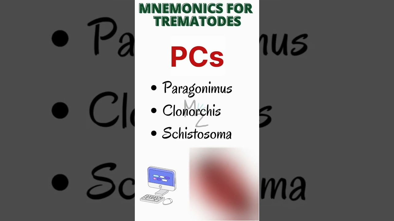 Mnemonics for Trematodes' Memorization | Classification of Trematodes 
