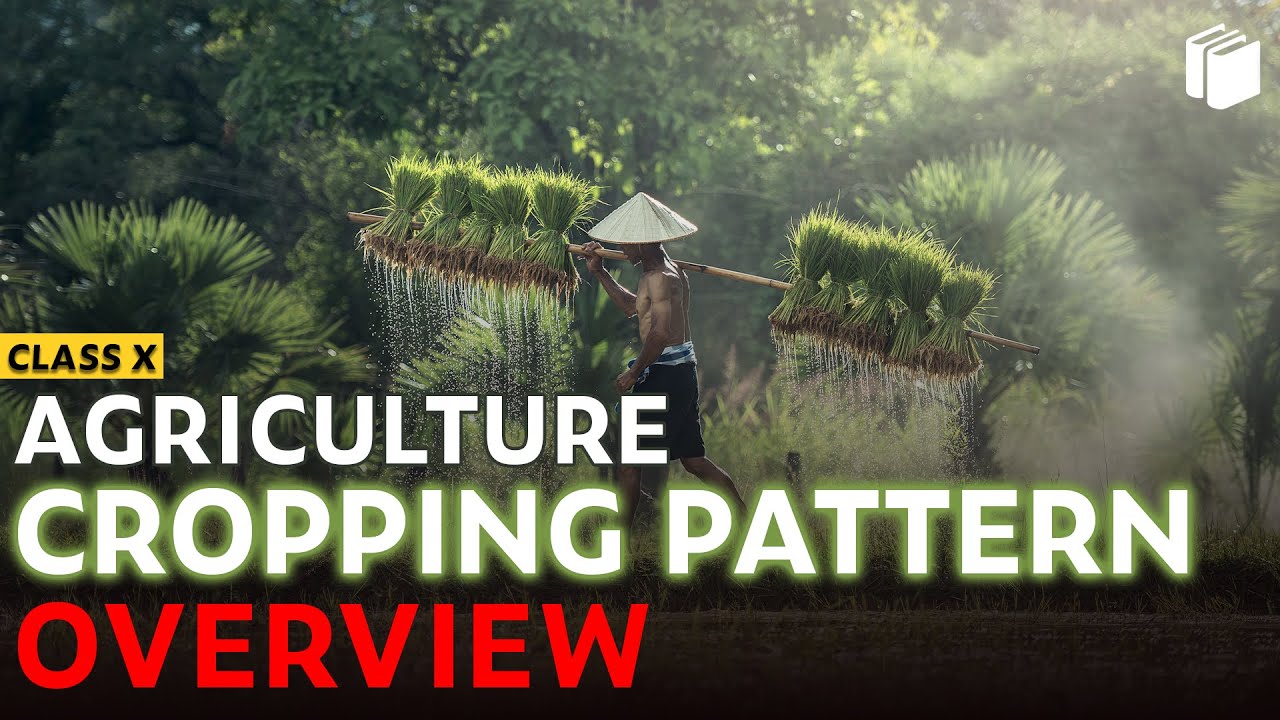 Cropping Pattern | Agriculture | Chapter 4 - Geography | Class 10 | PuStack