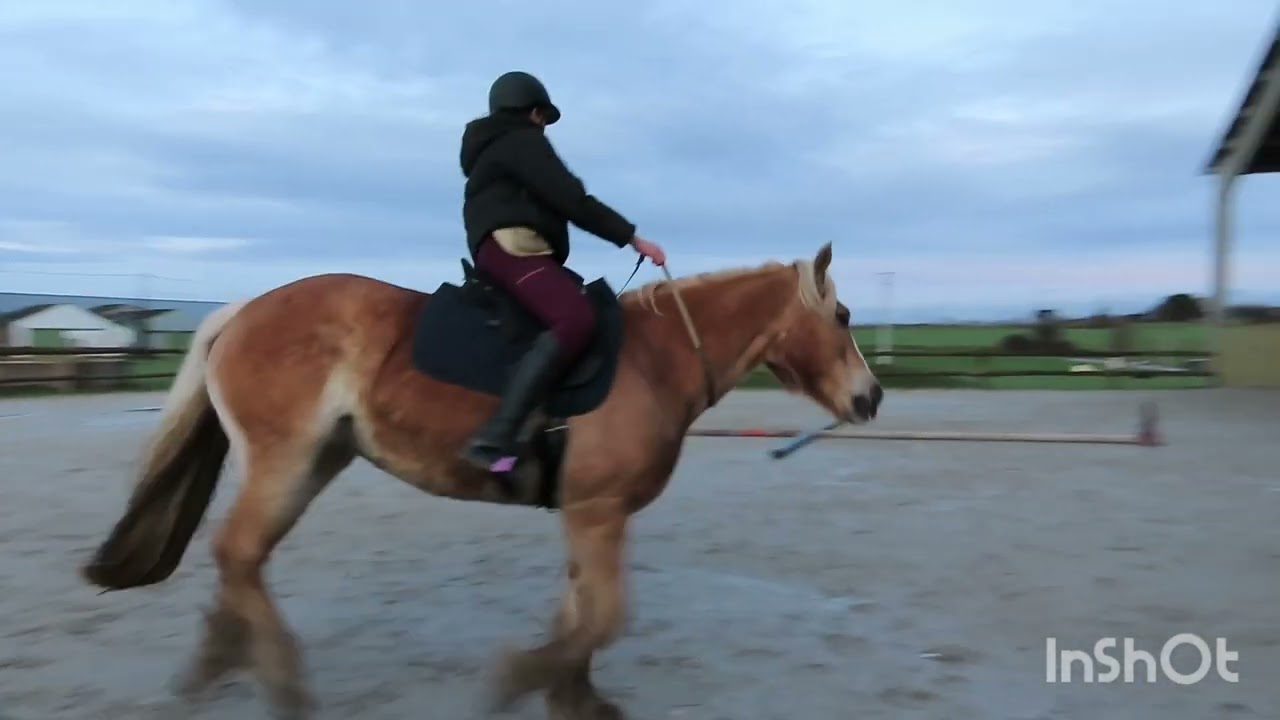 Louane & Voltige montée élite manche 2