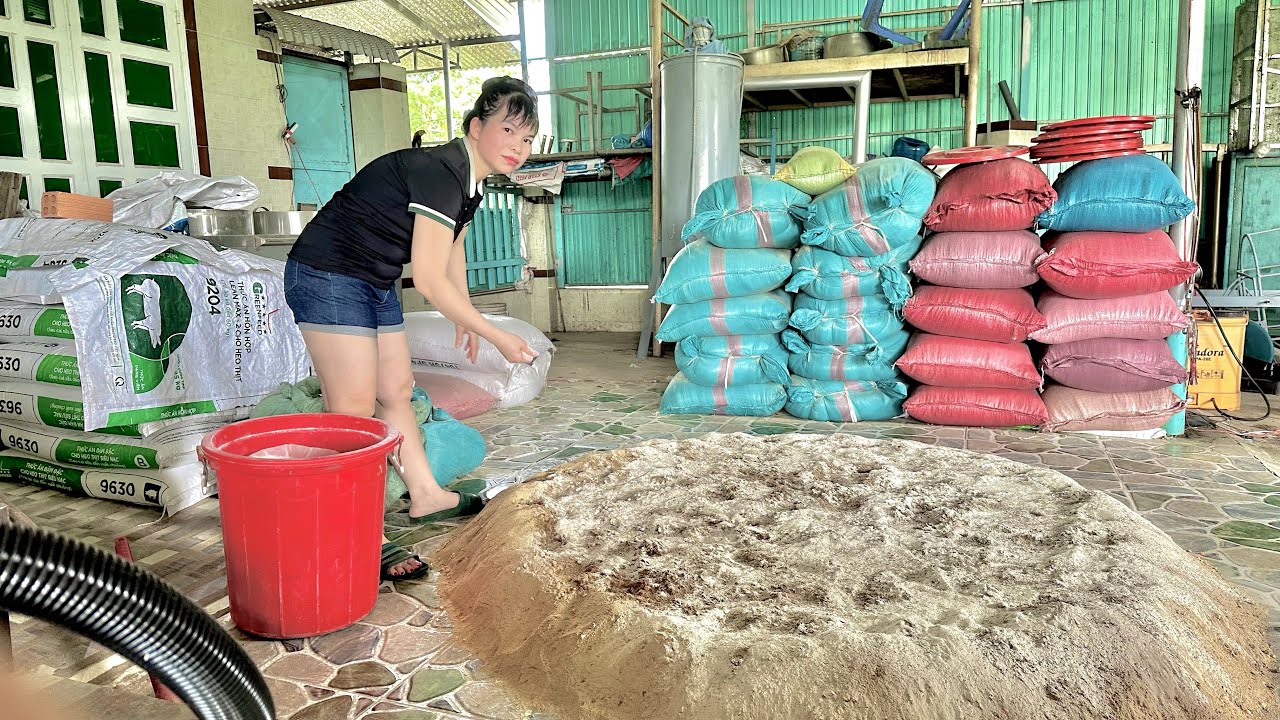 Quy trình sản xuất Cám viên chất lượng cao Thanh hậu 9000/1kg cám viên tập 14