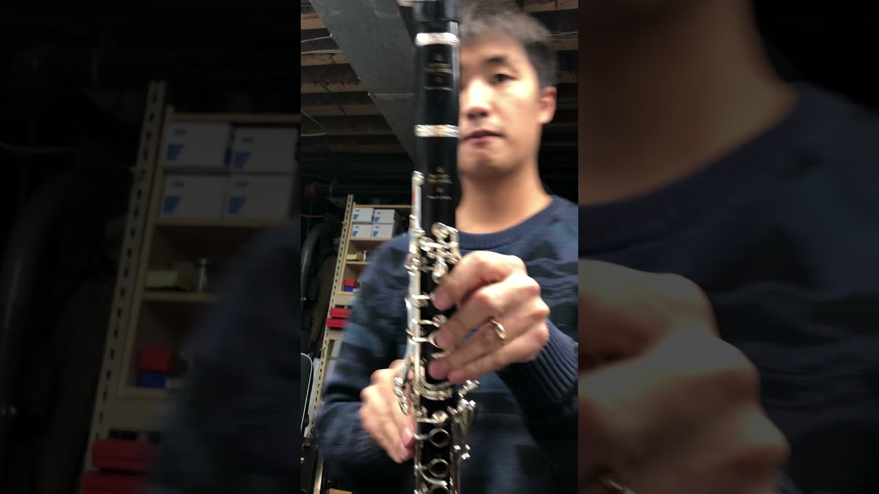 Selmer Présence vs Présence Evolution vs Buffet Crampon R13 vs R13 GreenLine
